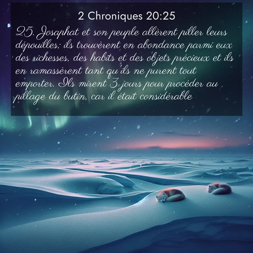 Segond21 2 Chroniques  ; image nature: image avec le verset biblique :Josaphat et son peuple allèrent piller leurs dépouilles; ils trouvèrent en abondance parmi eux des richesses, des habits et des objets précieux et ils en ramassèrent tant qu&#039;ils ne purent tout emporter. Ils mirent 3 jours pour procéder au pillage du butin, car il était considérable. ;  ; 20:25