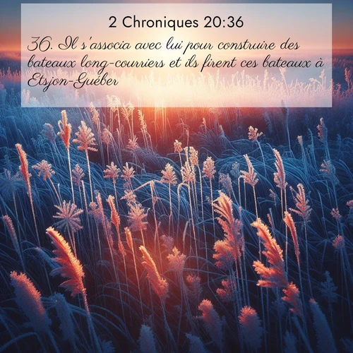 Segond21 2 Chroniques  ; image nature: image avec le verset biblique :Il s&#039;associa avec lui pour construire des bateaux long-courriers et ils firent ces bateaux à Etsjon-Guéber. ;  ; 20:36