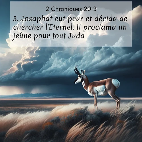 Segond21 2 Chroniques  ; image nature: image avec le verset biblique :Josaphat eut peur et décida de chercher l&#039;Eternel. Il proclama un jeûne pour tout Juda. ;  ; 20:3