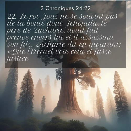 Segond21 2 Chroniques  ; image nature: image avec le verset biblique :Le roi Joas ne se souvint pas de la bonté dont Jehojada, le père de Zacharie, avait fait preuve envers lui et il assassina son fils. Zacharie dit en mourant: «Que l&#039;Eternel voie cela et fasse justice!» ;  ; 24:22