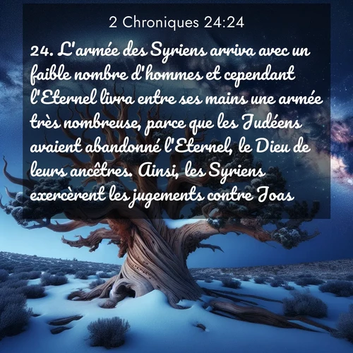 Segond21 2 Chroniques  ; image nature: image avec le verset biblique :L&#039;armée des Syriens arriva avec un faible nombre d&#039;hommes et cependant l&#039;Eternel livra entre ses mains une armée très nombreuse, parce que les Judéens avaient abandonné l&#039;Eternel, le Dieu de leurs ancêtres. Ainsi, les Syriens exercèrent les jugements contre Joas. ;  ; 24:24