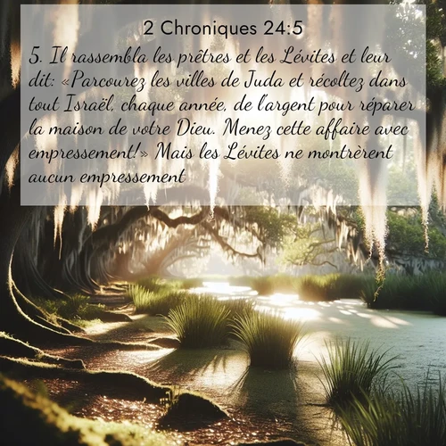 Segond21 2 Chroniques  ; image nature: image avec le verset biblique :Il rassembla les prêtres et les Lévites et leur dit: «Parcourez les villes de Juda et récoltez dans tout Israël, chaque année, de l&#039;argent pour réparer la maison de votre Dieu. Menez cette affaire avec empressement!» Mais les Lévites ne montrèrent aucun empressement. ;  ; 24:5