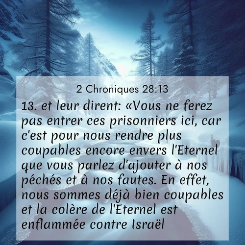 Segond21 2 Chroniques  ; image nature: image avec le verset biblique :et leur dirent: «Vous ne ferez pas entrer ces prisonniers ici, car c&#039;est pour nous rendre plus coupables encore envers l&#039;Eternel que vous parlez d&#039;ajouter à nos péchés et à nos fautes. En effet, nous sommes déjà bien coupables et la colère de l&#039;Eternel est enflammée contre Israël.» ;  ; 28:13