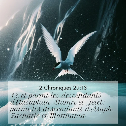 Segond21 2 Chroniques  ; image nature: image avec le verset biblique :et parmi les descendants d&#039;Elitsaphan, Shimri et Jeïel; parmi les descendants d&#039;Asaph, Zacharie et Matthania; ;  ; 29:13