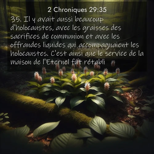 Segond21 2 Chroniques  ; image nature: image avec le verset biblique :Il y avait aussi beaucoup d&#039;holocaustes, avec les graisses des sacrifices de communion et avec les offrandes liquides qui accompagnaient les holocaustes. C&#039;est ainsi que le service de la maison de l&#039;Eternel fut rétabli. ;  ; 29:35