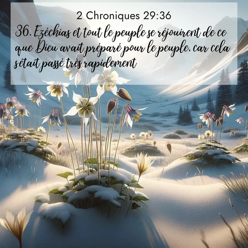 Segond21 2 Chroniques  ; image nature: image avec le verset biblique :Ezéchias et tout le peuple se réjouirent de ce que Dieu avait préparé pour le peuple, car cela s&#039;était passé très rapidement. ;  ; 29:36
