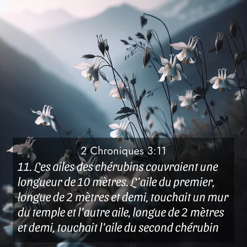 image nature avec verset biblique de la Bible