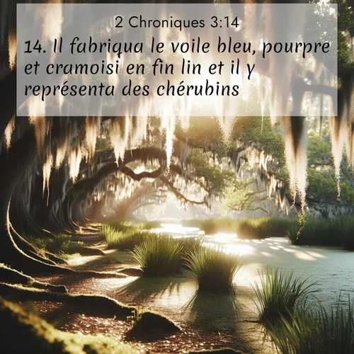 image nature avec verset biblique de la Bible