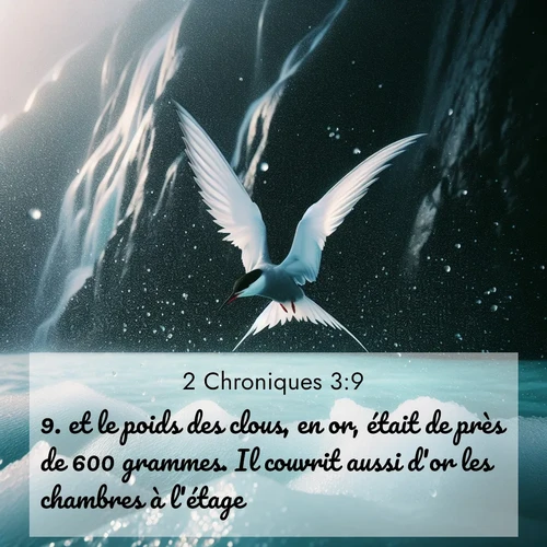 image nature avec verset biblique de la Bible