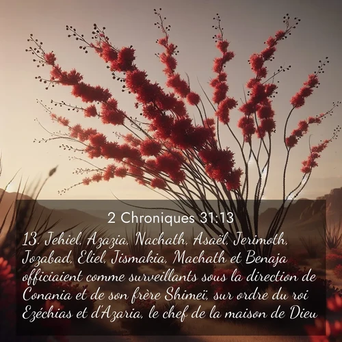 Segond21 2 Chroniques  ; image nature: image avec le verset biblique :Jehiel, Azazia, Nachath, Asaël, Jerimoth, Jozabad, Eliel, Jismakia, Machath et Benaja officiaient comme surveillants sous la direction de Conania et de son frère Shimeï, sur ordre du roi Ezéchias et d&#039;Azaria, le chef de la maison de Dieu. ;  ; 31:13