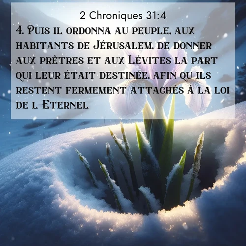 Segond21 2 Chroniques  ; image nature: image avec le verset biblique :Puis il ordonna au peuple, aux habitants de Jérusalem, de donner aux prêtres et aux Lévites la part qui leur était destinée, afin qu&#039;ils restent fermement attachés à la loi de l&#039;Eternel. ;  ; 31:4