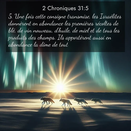 Segond21 2 Chroniques  ; image nature: image avec le verset biblique :Une fois cette consigne transmise, les Israélites donnèrent en abondance les premières récoltes de blé, de vin nouveau, d&#039;huile, de miel et de tous les produits des champs. Ils apportèrent aussi en abondance la dîme de tout. ;  ; 31:5