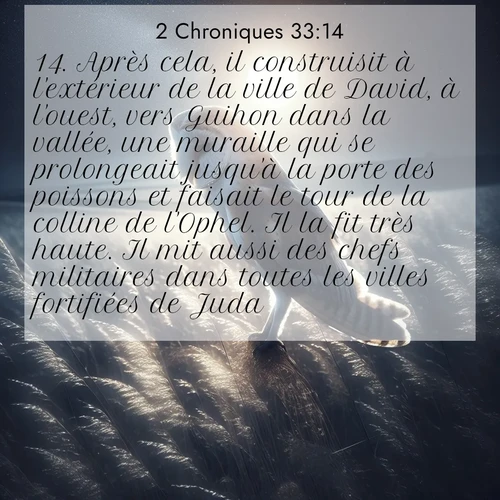 Segond21 2 Chroniques  ; image nature: image avec le verset biblique :Après cela, il construisit à l&#039;extérieur de la ville de David, à l&#039;ouest, vers Guihon dans la vallée, une muraille qui se prolongeait jusqu&#039;à la porte des poissons et faisait le tour de la colline de l&#039;Ophel. Il la fit très haute. Il mit aussi des chefs militaires dans toutes les villes fortifiées de Juda. ;  ; 33:14