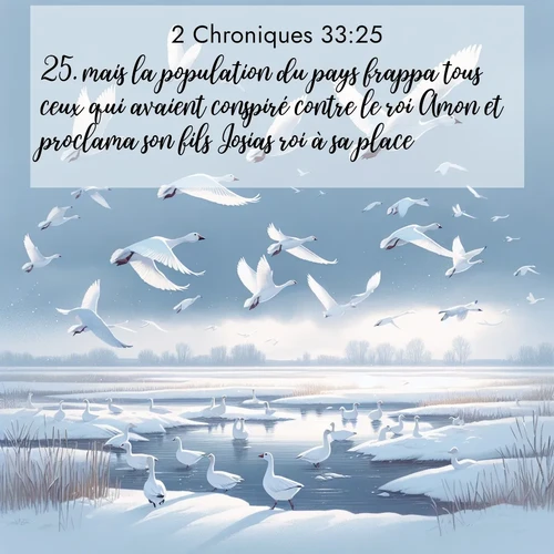 Segond21 2 Chroniques  ; image nature: image avec le verset biblique :mais la population du pays frappa tous ceux qui avaient conspiré contre le roi Amon et proclama son fils Josias roi à sa place. ;  ; 33:25