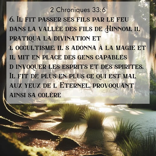 Segond21 2 Chroniques  ; image nature: image avec le verset biblique :Il fit passer ses fils par le feu dans la vallée des fils de Hinnom, il pratiqua la divination et l&#039;occultisme, il s&#039;adonna à la magie et il mit en place des gens capables d&#039;invoquer les esprits et des spirites. Il fit de plus en plus ce qui est mal aux yeux de l&#039;Eternel, provoquant ainsi sa colère. ;  ; 33:6