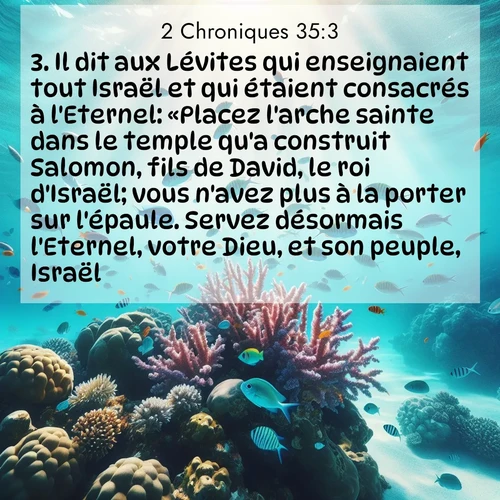 Segond21 2 Chroniques  ; image nature: image avec le verset biblique :Il dit aux Lévites qui enseignaient tout Israël et qui étaient consacrés à l&#039;Eternel: «Placez l&#039;arche sainte dans le temple qu&#039;a construit Salomon, fils de David, le roi d&#039;Israël; vous n&#039;avez plus à la porter sur l&#039;épaule. Servez désormais l&#039;Eternel, votre Dieu, et son peuple, Israël. ;  ; 35:3