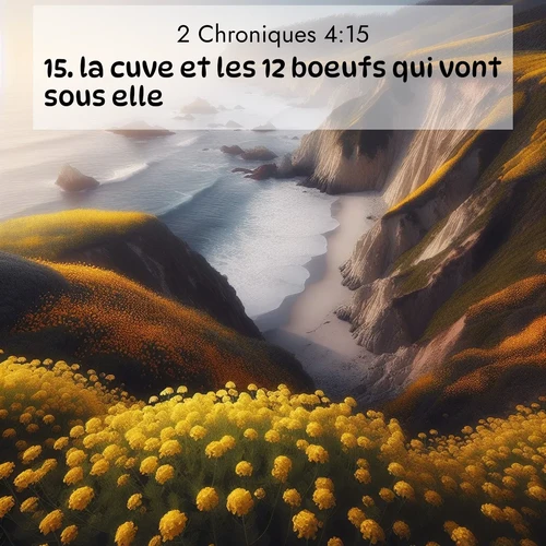 Segond21 2 Chroniques  ; image nature: image avec le verset biblique :la cuve et les 12 boeufs qui vont sous elle; ;  ; 4:15