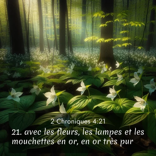 Segond21 2 Chroniques  ; image nature: image avec le verset biblique :avec les fleurs, les lampes et les mouchettes en or, en or très pur; ;  ; 4:21