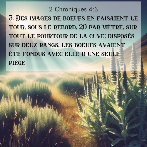 Segond21 2 Chroniques  ; image nature: image avec le verset biblique :Des images de boeufs en faisaient le tour, sous le rebord, 20 par mètre, sur tout le pourtour de la cuve; disposés sur deux rangs, les boeufs avaient été fondus avec elle d&#039;une seule pièce. ;  ; 4:3