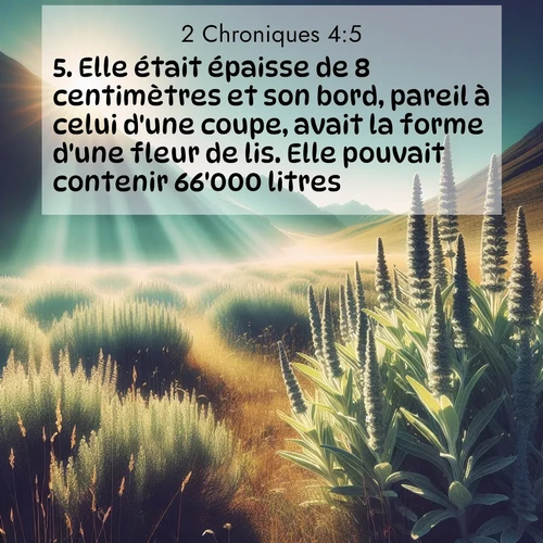 Segond21 2 Chroniques  ; image nature: image avec le verset biblique :Elle était épaisse de 8 centimètres et son bord, pareil à celui d&#039;une coupe, avait la forme d&#039;une fleur de lis. Elle pouvait contenir 66&#039;000 litres. ;  ; 4:5