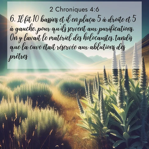 Segond21 2 Chroniques  ; image nature: image avec le verset biblique :Il fit 10 bassins et il en plaça 5 à droite et 5 à gauche, pour qu&#039;ils servent aux purifications. On y lavait le matériel des holocaustes, tandis que la cuve était réservée aux ablutions des prêtres. ;  ; 4:6