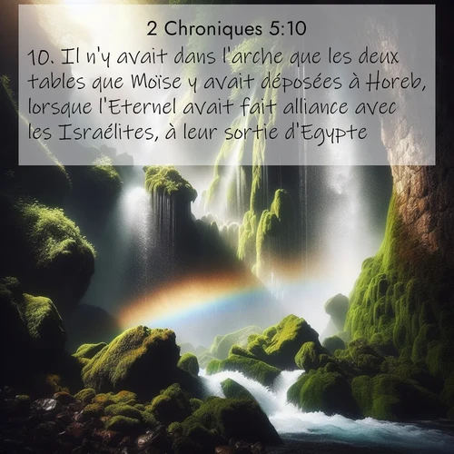 Segond21 2 Chroniques  ; image nature: image avec le verset biblique :Il n&#039;y avait dans l&#039;arche que les deux tables que Moïse y avait déposées à Horeb, lorsque l&#039;Eternel avait fait alliance avec les Israélites, à leur sortie d&#039;Egypte. ;  ; 5:10
