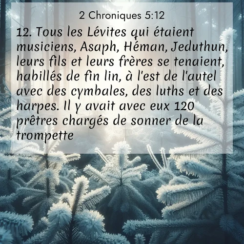 Segond21 2 Chroniques  ; image nature: image avec le verset biblique :Tous les Lévites qui étaient musiciens, Asaph, Héman, Jeduthun, leurs fils et leurs frères se tenaient, habillés de fin lin, à l&#039;est de l&#039;autel avec des cymbales, des luths et des harpes. Il y avait avec eux 120 prêtres chargés de sonner de la trompette.  ;  ; 5:12