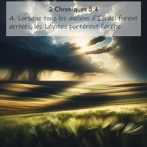 Segond21 2 Chroniques  ; image nature: image avec le verset biblique :Lorsque tous les anciens d&#039;Israël furent arrivés, les Lévites portèrent l&#039;arche. ;  ; 5:4