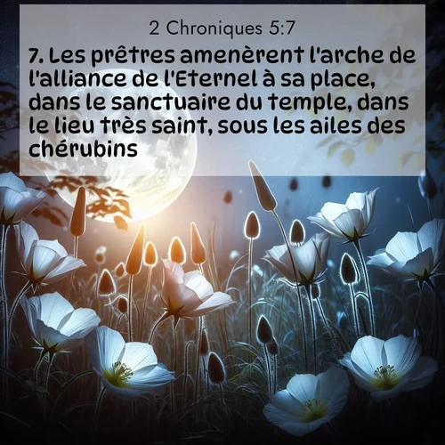 Segond21 2 Chroniques  ; image nature: image avec le verset biblique :Les prêtres amenèrent l&#039;arche de l&#039;alliance de l&#039;Eternel à sa place, dans le sanctuaire du temple, dans le lieu très saint, sous les ailes des chérubins. ;  ; 5:7
