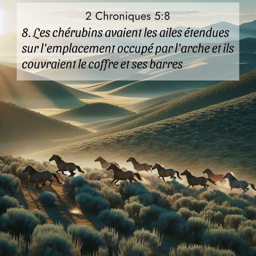 Segond21 2 Chroniques  ; image nature: image avec le verset biblique :Les chérubins avaient les ailes étendues sur l&#039;emplacement occupé par l&#039;arche et ils couvraient le coffre et ses barres. ;  ; 5:8