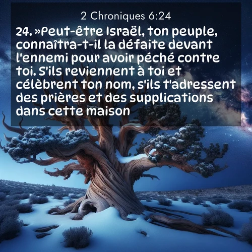 Segond21 2 Chroniques  ; image nature: image avec le verset biblique :»Peut-être Israël, ton peuple, connaîtra-t-il la défaite devant l&#039;ennemi pour avoir péché contre toi. S&#039;ils reviennent à toi et célèbrent ton nom, s&#039;ils t&#039;adressent des prières et des supplications dans cette maison, ;  ; 6:24