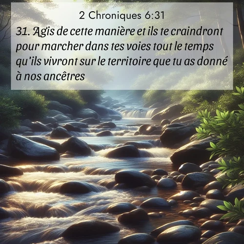Segond21 2 Chroniques  ; image nature: image avec le verset biblique :Agis de cette manière et ils te craindront pour marcher dans tes voies tout le temps qu&#039;ils vivront sur le territoire que tu as donné à nos ancêtres! ;  ; 6:31