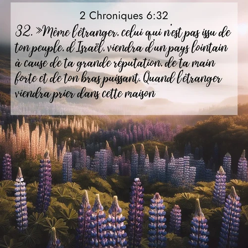 Segond21 2 Chroniques  ; image nature: image avec le verset biblique :»Même l&#039;étranger, celui qui n&#039;est pas issu de ton peuple, d&#039;Israël, viendra d&#039;un pays lointain à cause de ta grande réputation, de ta main forte et de ton bras puissant. Quand l&#039;étranger viendra prier dans cette maison, ;  ; 6:32