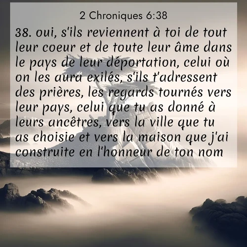 Segond21 2 Chroniques  ; image nature: image avec le verset biblique :oui, s&#039;ils reviennent à toi de tout leur coeur et de toute leur âme dans le pays de leur déportation, celui où on les aura exilés, s&#039;ils t&#039;adressent des prières, les regards tournés vers leur pays, celui que tu as donné à leurs ancêtres, vers la ville que tu as choisie et vers la maison que j&#039;ai construite en l&#039;honneur de ton nom, ;  ; 6:38