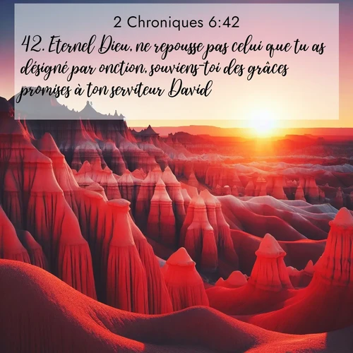 Segond21 2 Chroniques  ; image nature: image avec le verset biblique :Eternel Dieu, ne repousse pas celui que tu as désigné par onction, souviens-toi des grâces promises à ton serviteur David!» ;  ; 6:42
