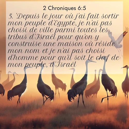 Segond21 2 Chroniques  ; image nature: image avec le verset biblique :&#039;Depuis le jour où j&#039;ai fait sortir mon peuple d&#039;Egypte, je n&#039;ai pas choisi de ville parmi toutes les tribus d&#039;Israël pour qu&#039;on y construise une maison où réside mon nom et je n&#039;ai pas choisi d&#039;homme pour qu&#039;il soit le chef de mon peuple, d&#039;Israël, ;  ; 6:5
