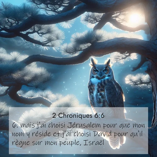 Segond21 2 Chroniques  ; image nature: image avec le verset biblique :mais j&#039;ai choisi Jérusalem pour que mon nom y réside et j&#039;ai choisi David pour qu&#039;il règne sur mon peuple, Israël.&#039; ;  ; 6:6