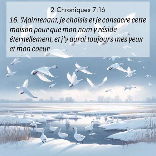 Segond21 2 Chroniques  ; image nature: image avec le verset biblique :Maintenant, je choisis et je consacre cette maison pour que mon nom y réside éternellement, et j&#039;y aurai toujours mes yeux et mon coeur. ;  ; 7:16