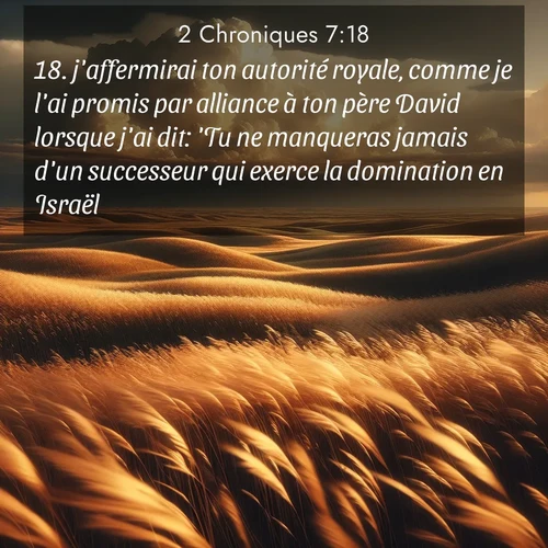 Segond21 2 Chroniques  ; image nature: image avec le verset biblique :j&#039;affermirai ton autorité royale, comme je l&#039;ai promis par alliance à ton père David lorsque j&#039;ai dit: &#039;Tu ne manqueras jamais d&#039;un successeur qui exerce la domination en Israël.&#039; ;  ; 7:18