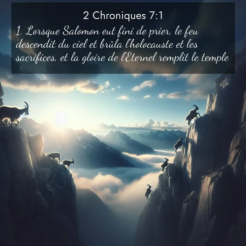 Segond21 2 Chroniques  ; image nature: image avec le verset biblique :Lorsque Salomon eut fini de prier, le feu descendit du ciel et brûla l&#039;holocauste et les sacrifices, et la gloire de l&#039;Eternel remplit le temple. ;  ; 7:1