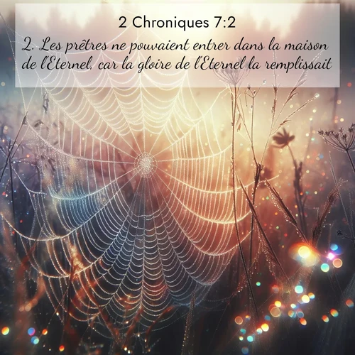 Segond21 2 Chroniques  ; image nature: image avec le verset biblique :Les prêtres ne pouvaient entrer dans la maison de l&#039;Eternel, car la gloire de l&#039;Eternel la remplissait. ;  ; 7:2