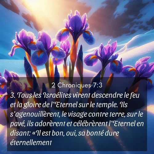 Segond21 2 Chroniques  ; image nature: image avec le verset biblique :Tous les Israélites virent descendre le feu et la gloire de l&#039;Eternel sur le temple. Ils s&#039;agenouillèrent, le visage contre terre, sur le pavé, ils adorèrent et célébrèrent l&#039;Eternel en disant: «Il est bon, oui, sa bonté dure éternellement!» ;  ; 7:3