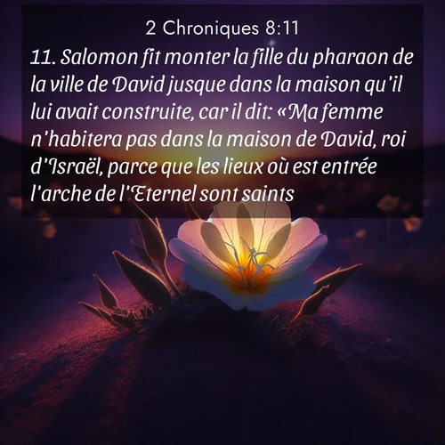 Segond21 2 Chroniques  ; image nature: image avec le verset biblique :Salomon fit monter la fille du pharaon de la ville de David jusque dans la maison qu&#039;il lui avait construite, car il dit: «Ma femme n&#039;habitera pas dans la maison de David, roi d&#039;Israël, parce que les lieux où est entrée l&#039;arche de l&#039;Eternel sont saints.» ;  ; 8:11