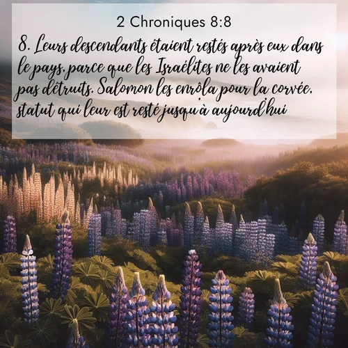 Segond21 2 Chroniques  ; image nature: image avec le verset biblique :Leurs descendants étaient restés après eux dans le pays, parce que les Israélites ne les avaient pas détruits. Salomon les enrôla pour la corvée, statut qui leur est resté jusqu&#039;à aujourd&#039;hui. ;  ; 8:8