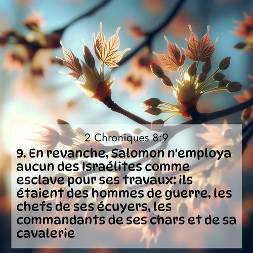 Segond21 2 Chroniques  ; image nature: image avec le verset biblique :En revanche, Salomon n&#039;employa aucun des Israélites comme esclave pour ses travaux: ils étaient des hommes de guerre, les chefs de ses écuyers, les commandants de ses chars et de sa cavalerie. ;  ; 8:9