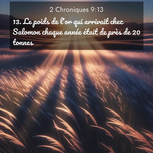 Segond21 2 Chroniques  ; image nature: image avec le verset biblique :Le poids de l&#039;or qui arrivait chez Salomon chaque année était de près de 20 tonnes, ;  ; 9:13