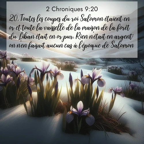 Segond21 2 Chroniques  ; image nature: image avec le verset biblique :Toutes les coupes du roi Salomon étaient en or et toute la vaisselle de la maison de la forêt du Liban était en or pur. Rien n&#039;était en argent: on n&#039;en faisait aucun cas à l&#039;époque de Salomon. ;  ; 9:20