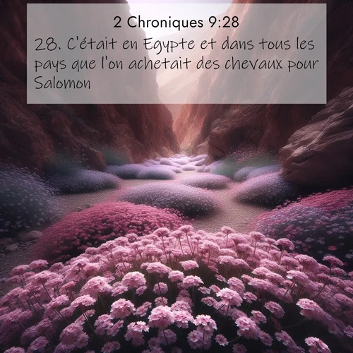 Segond21 2 Chroniques  ; image nature: image avec le verset biblique :C&#039;était en Egypte et dans tous les pays que l&#039;on achetait des chevaux pour Salomon. ;  ; 9:28