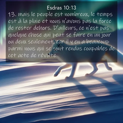 Segond21 Esdras  ; image nature: image avec le verset biblique :mais le peuple est nombreux, le temps est à la pluie et nous n&#039;avons pas la force de rester dehors. D&#039;ailleurs, ce n&#039;est pas quelque chose qui peut se faire en un jour ou deux seulement, car il y en a beaucoup parmi nous qui se sont rendus coupables de cet acte de révolte. ;  ; 10:13