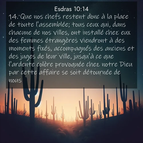 Segond21 Esdras  ; image nature: image avec le verset biblique :Que nos chefs restent donc à la place de toute l&#039;assemblée; tous ceux qui, dans chacune de nos villes, ont installé chez eux des femmes étrangères viendront à des moments fixés, accompagnés des anciens et des juges de leur ville, jusqu&#039;à ce que l&#039;ardente colère provoquée chez notre Dieu par cette affaire se soit détournée de nous.» ;  ; 10:14